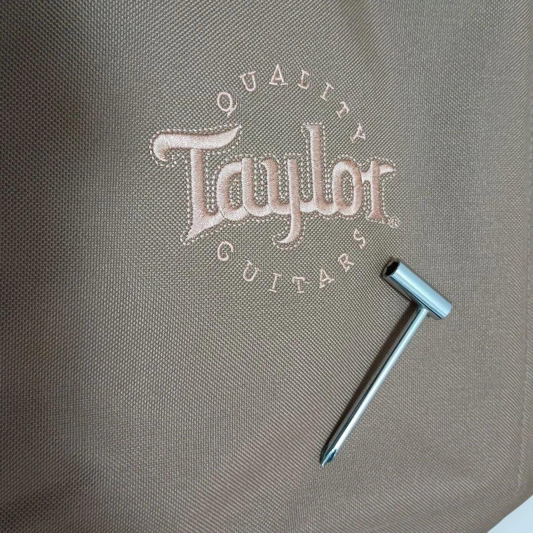 Taylor Baby 305-M アコースティックギター