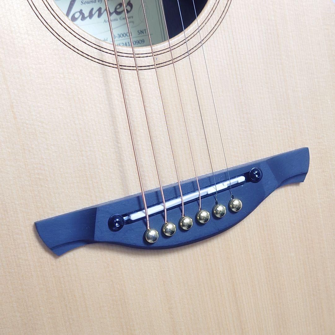 James J-300C11 SINT アコースティックギター