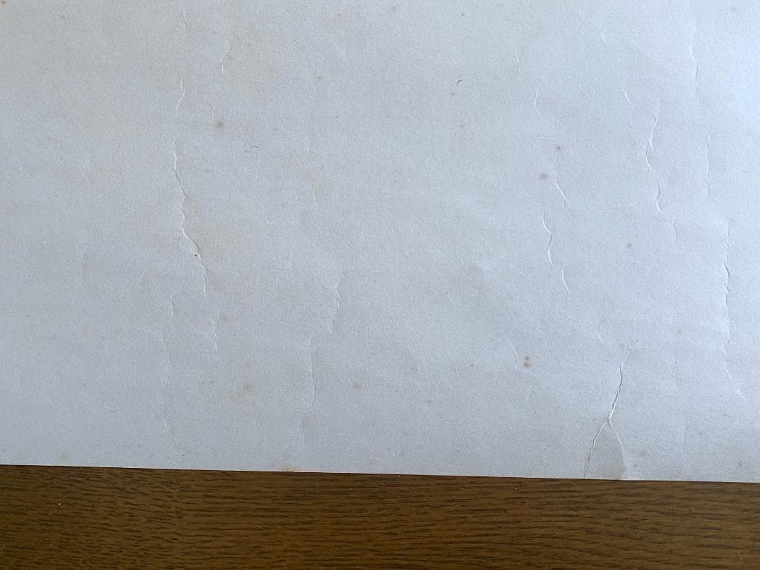 レ*オ様 横尾忠則　ポスター「AMAZON、アマゾン」 1989年