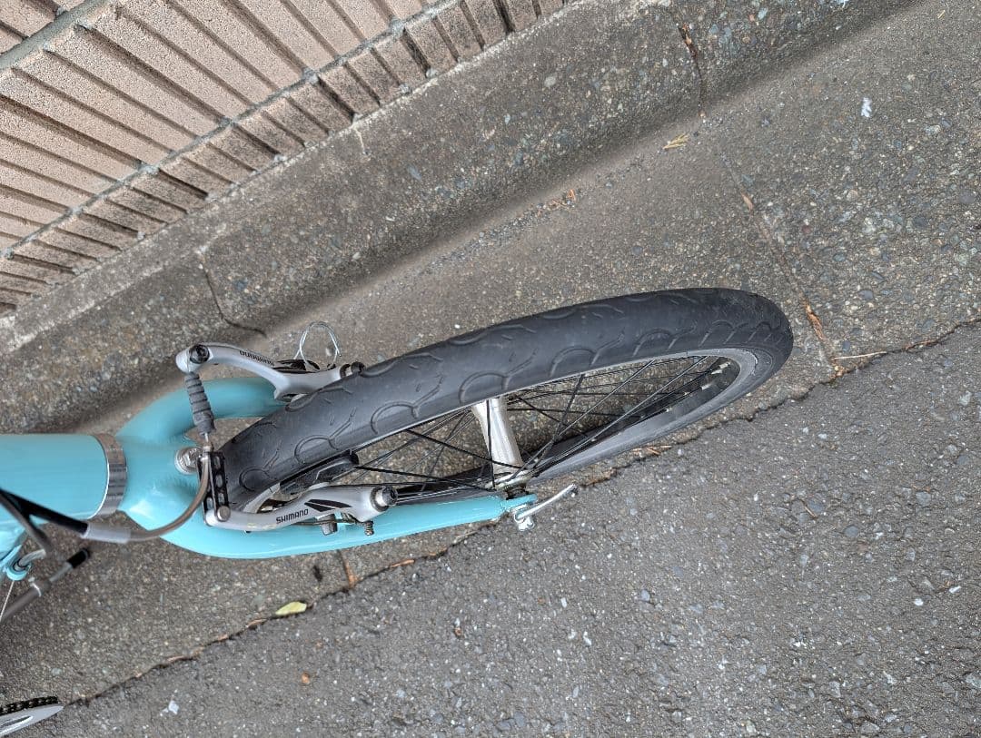 Bianchi Pisa ミニベロ