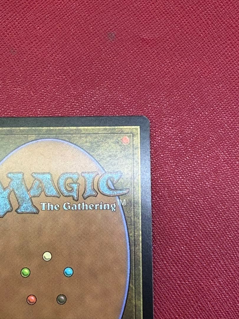 MTG　沸騰する小湖　日本語　初版　ZEN　Foil