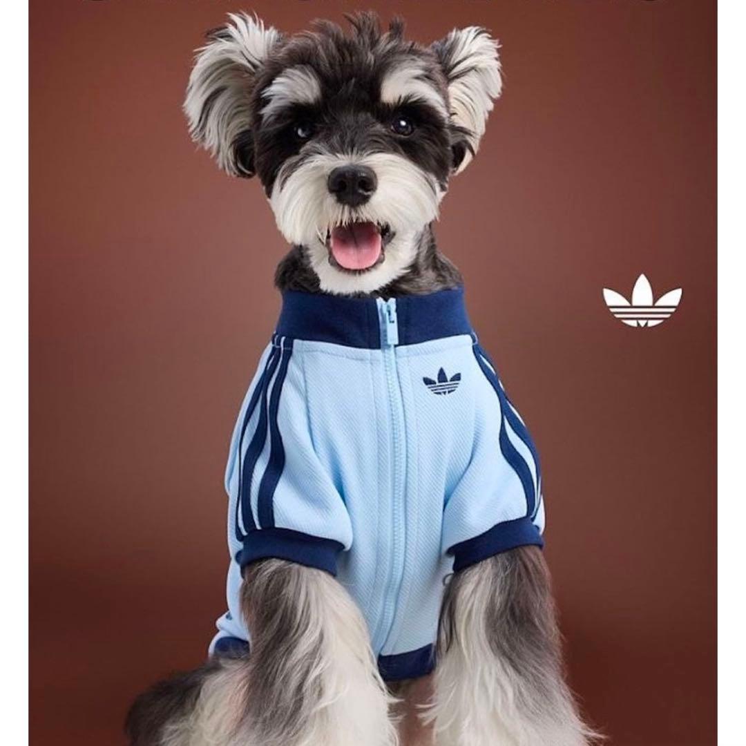 adidas 水色 犬服 猫服　中国限定　ジップアップウェア　Mサイズ