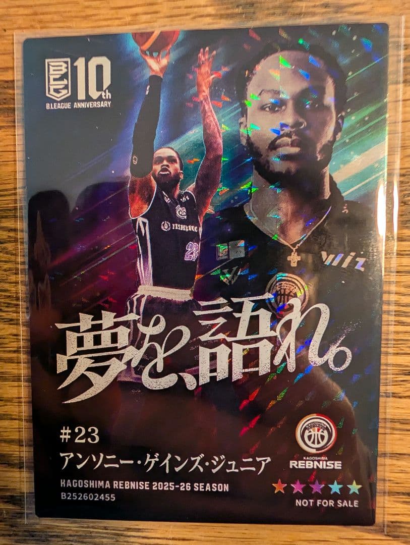 3*0様 B.LEAGUE カード　2025-26　鹿児島レブナイズ　ゲインズ・