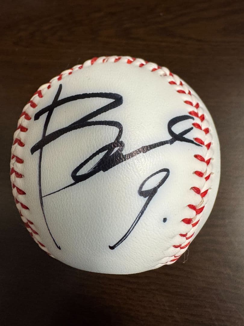 【希少】横浜DeNAベイスターズ 2014年開幕スタメンサイン入りボールセット