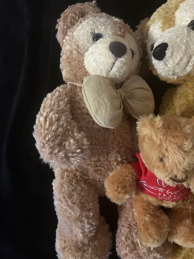 ダッフィーぬいぐるみ ディズニー 非売品 3点セット