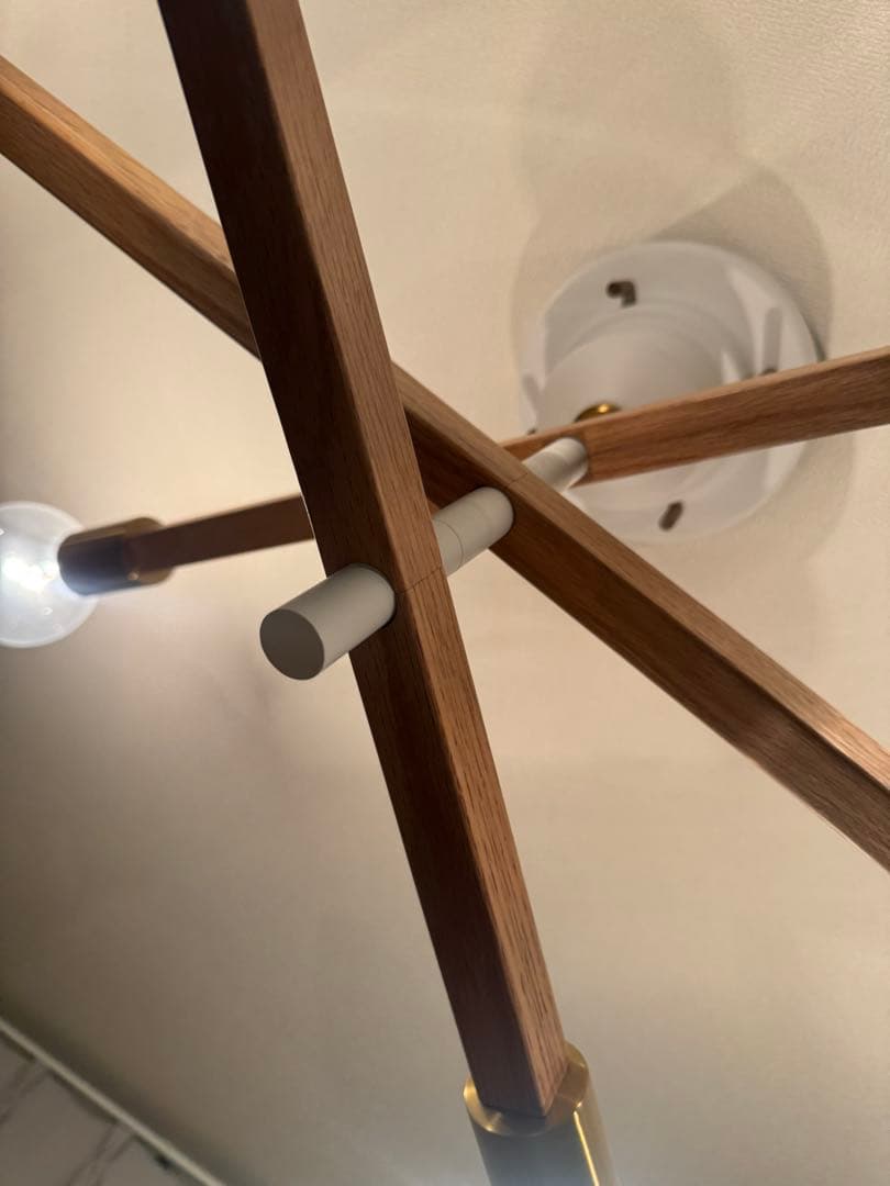 Astre baum 電球付