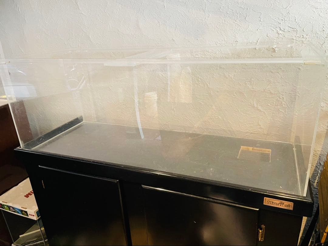 コイ　120cm マーフィード　ウッドキャビ