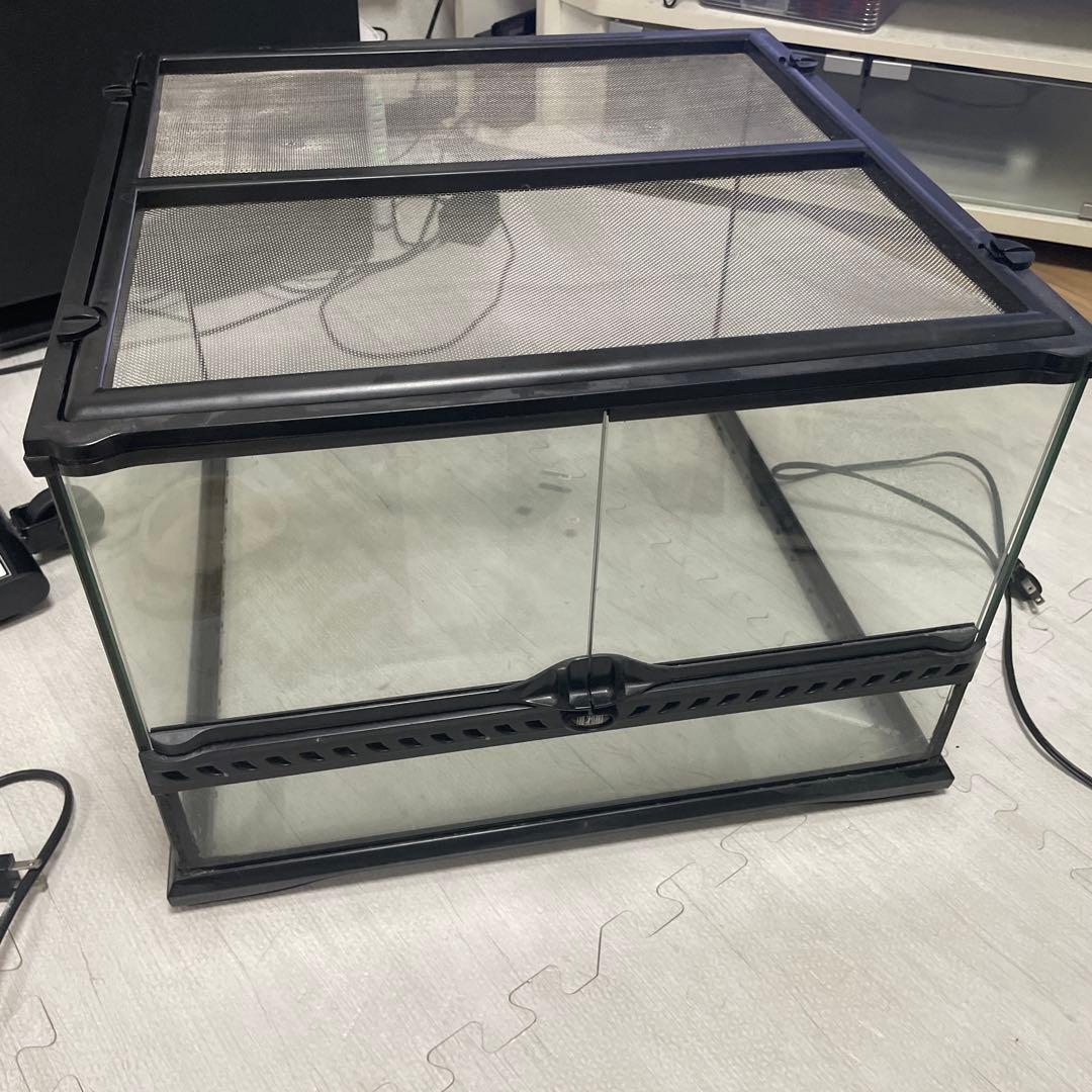 グラステラリウム【レオパ飼育セット】