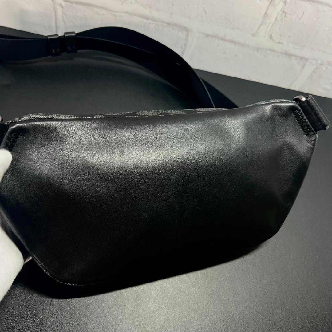 ✨正規品＆極美品‼️✨ コーチ エアリス シグネーチャー ボディバッグ グレー