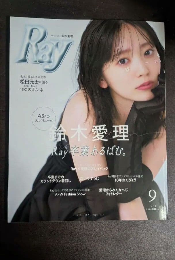 鈴木愛理 DVD・カレンダー・ぬいぐるみ・ポスター・フォトブックグッズセット