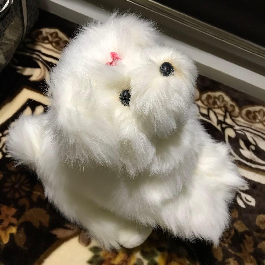 ぬいぐるみ　犬　マルチーズ　ファースト社　タグ付き　美品❣️