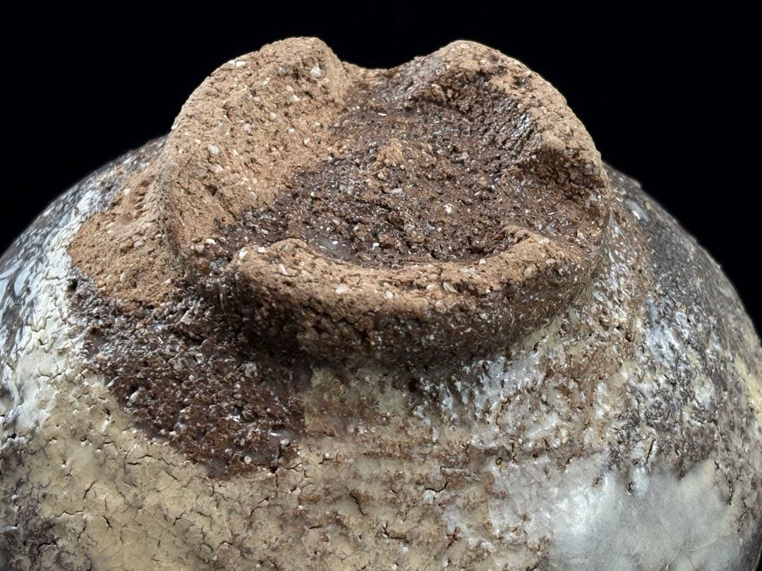 萩焼 玉隆山【吉田萩苑】作 萩茶碗 在銘 茶道具 木箱付 R811111