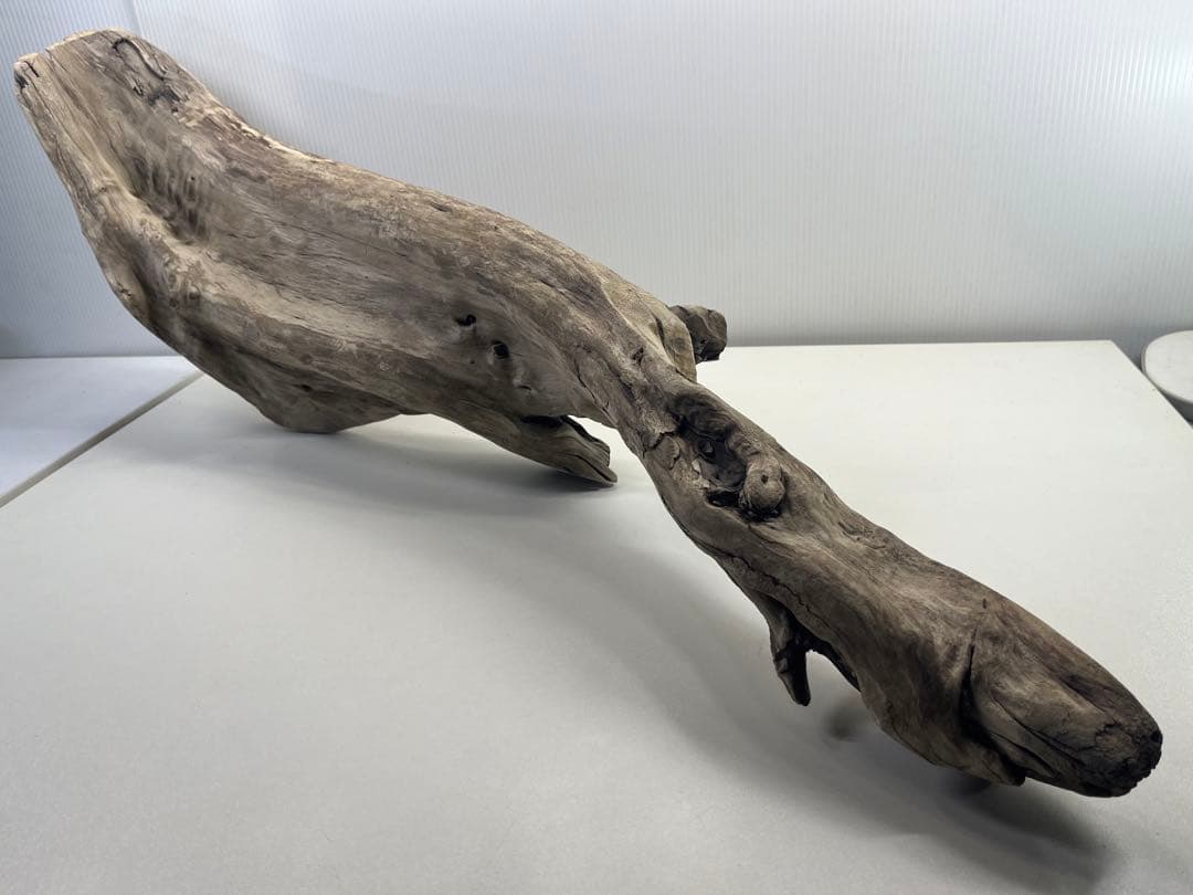 V84特大流木 アク抜き済み流木 爬虫類シェルター 登り木 インテリア 生け花