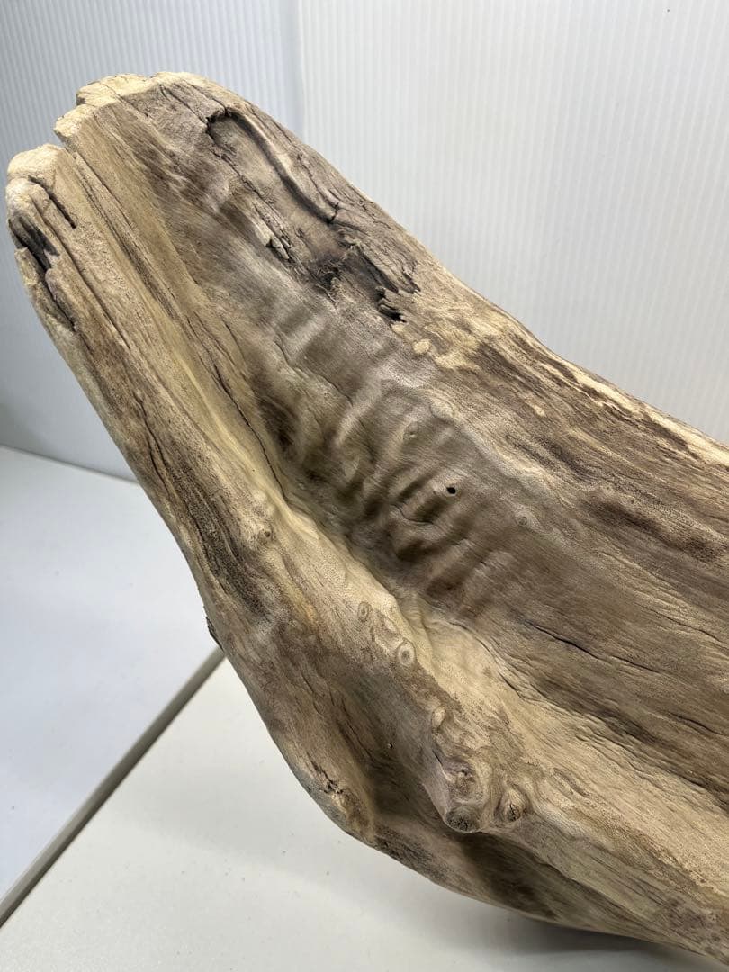 V84特大流木 アク抜き済み流木 爬虫類シェルター 登り木 インテリア 生け花