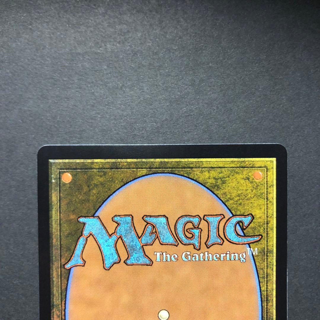 ドイツ語　ユウナのガード、ティーダ　サージFOIL MTG