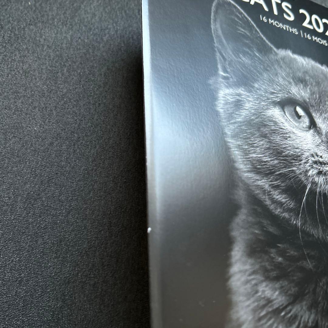 DRAEGER PARIS ネコ CATS 2024 カレンダーねこ 猫 AE