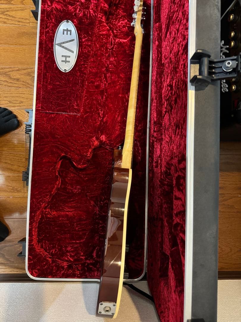 EVH WOLFGANG SPECIAL TBSレフティ