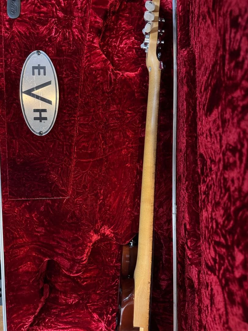 EVH WOLFGANG SPECIAL TBSレフティ