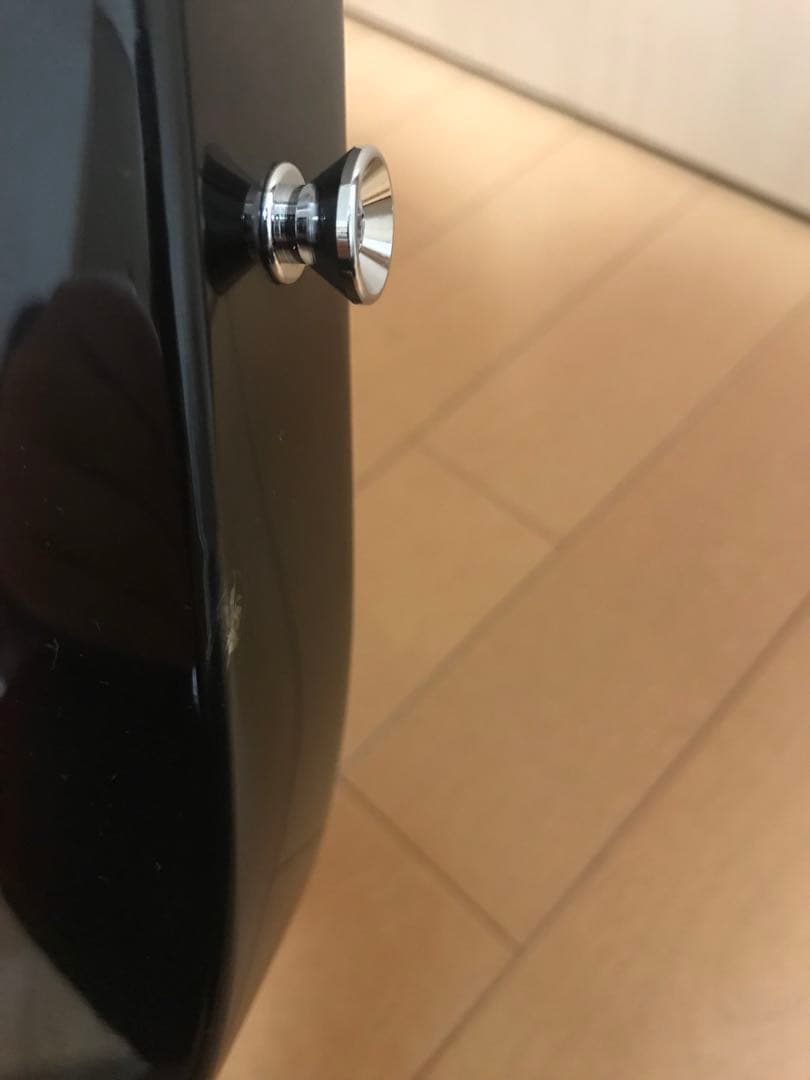 Bacchus universe テレキャスタータイプ