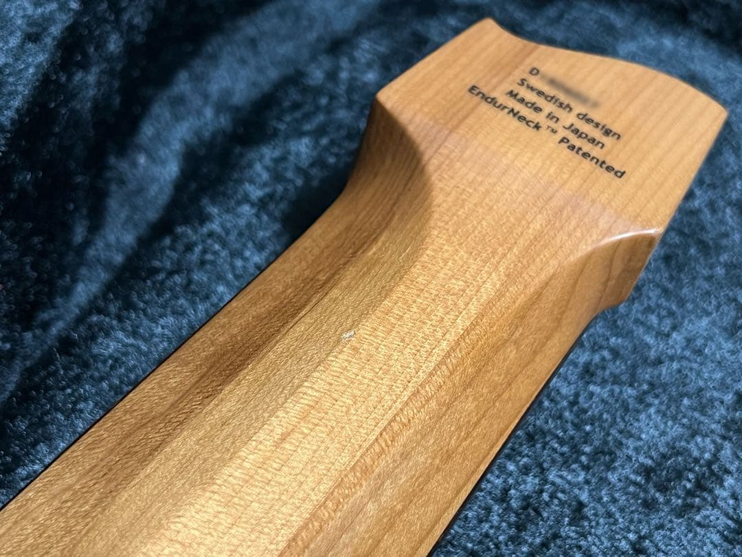 【8弦】strandberg J8 standard special