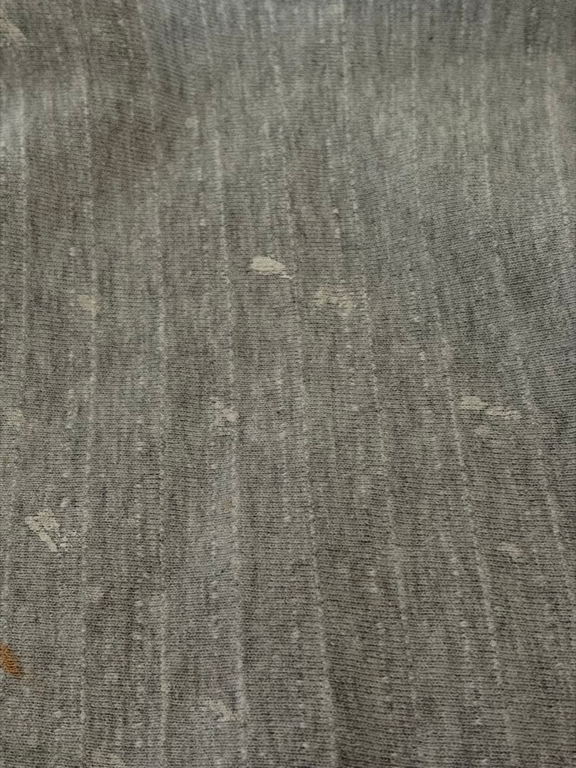 珍品 90's champion reverse weave ストライプ柄