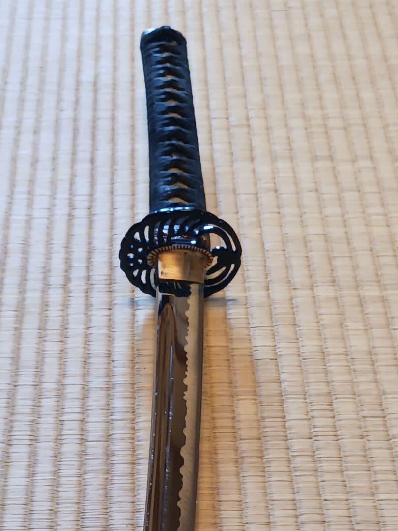 居合模造刀、本確居合者、居合女子、鑑賞、向き、本サメ本木、鍔刃渡り61cm、