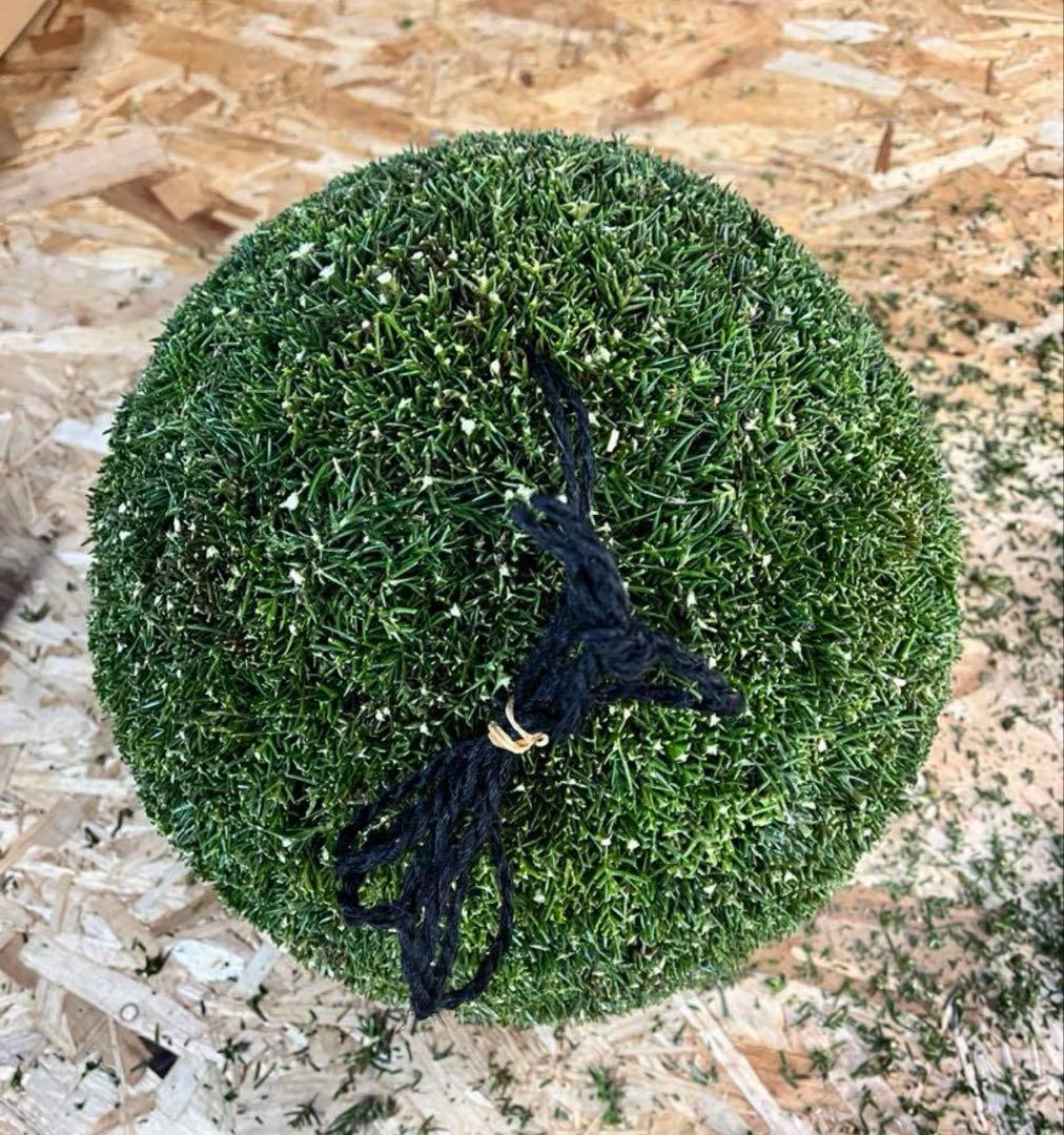 杉玉　約35㎝‼️お客様ご注文品　縁起物　丸くて幸せ　家族円満♪