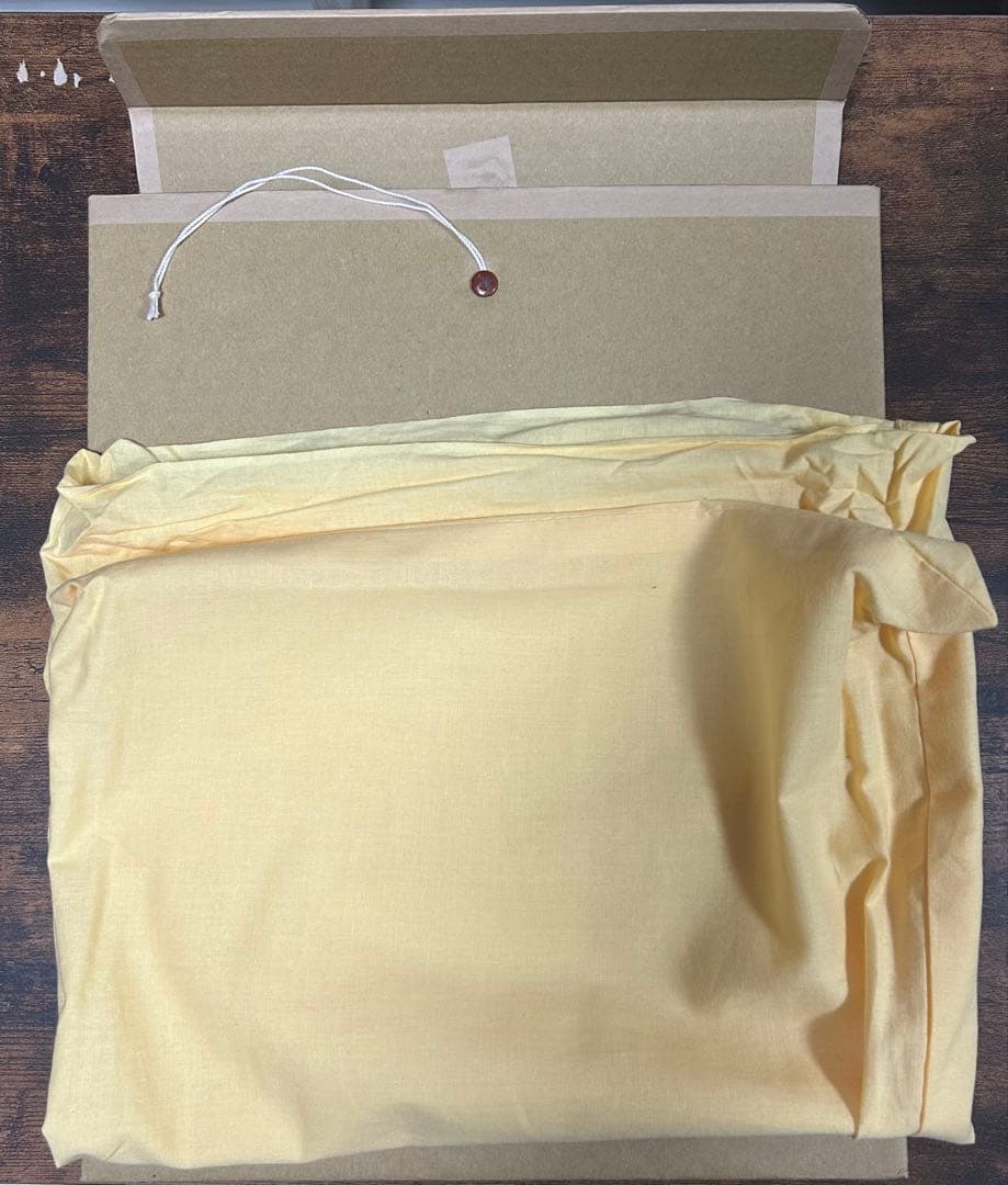 後藤温子　声　綿布に膠、顔料、アラビアゴム、墨、雲母、ラピスラズリ、絵画　額装付