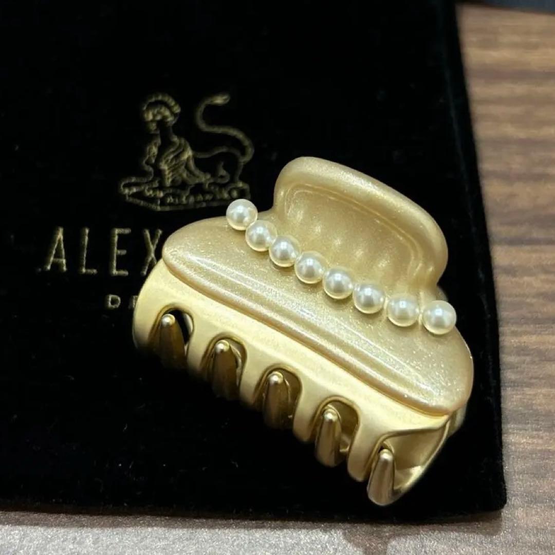 ALEXANDRE DE PARIS アレクサンドル ドゥ パリ　ヘアクリップ
