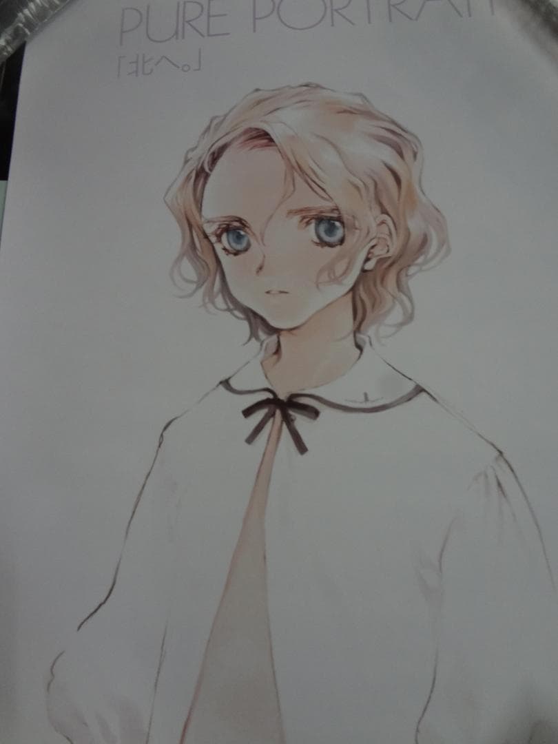 ピュア・ポートレート        北へ          販促非売品ポスター