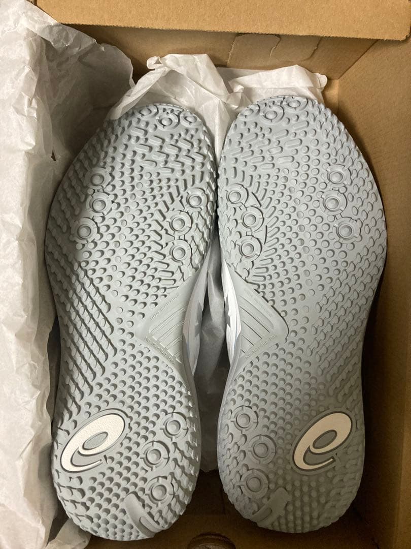 ASICS ゲルレゾリューションX 29.0 2E 新品未使用　タグ付き