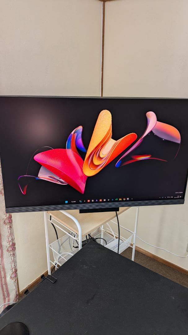 BenQ プログラミングモニター RD320UA 31.5インチ【美品】