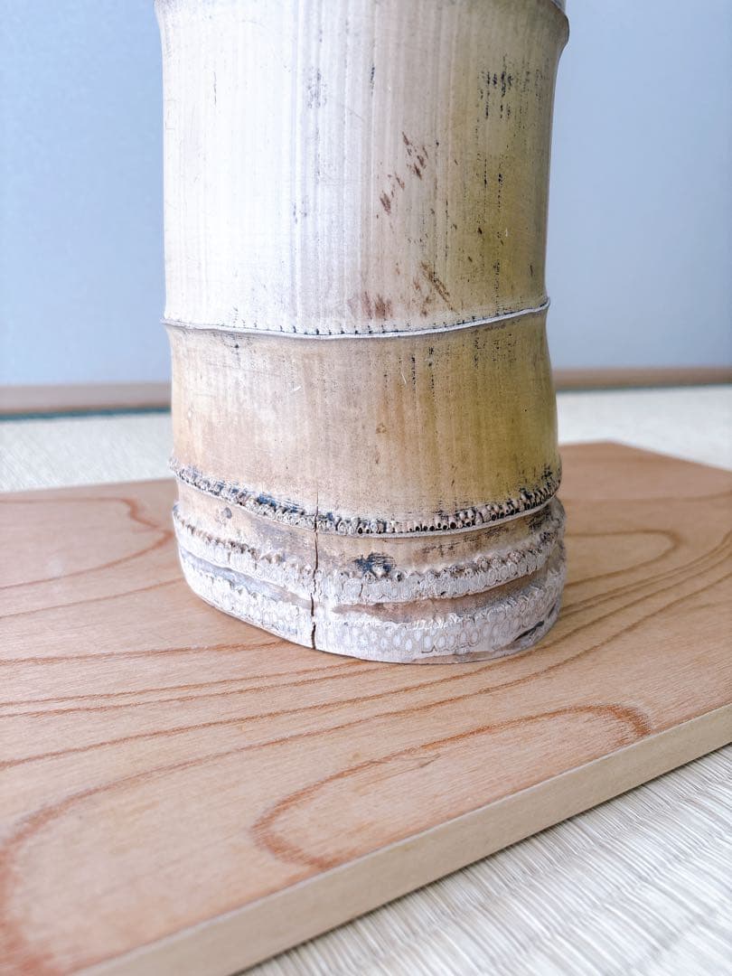 50 美品　根付き　三重切り　三重切　 生け花　生花　竹花入れ　竹筒　華道具