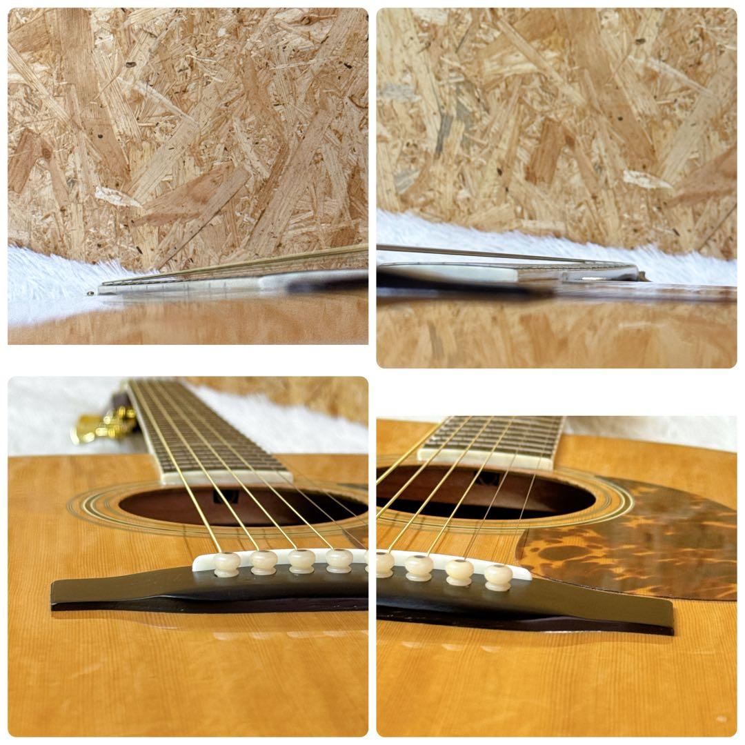 Morris TF W-50 ハカランダ 3Pバック アコースティックギター