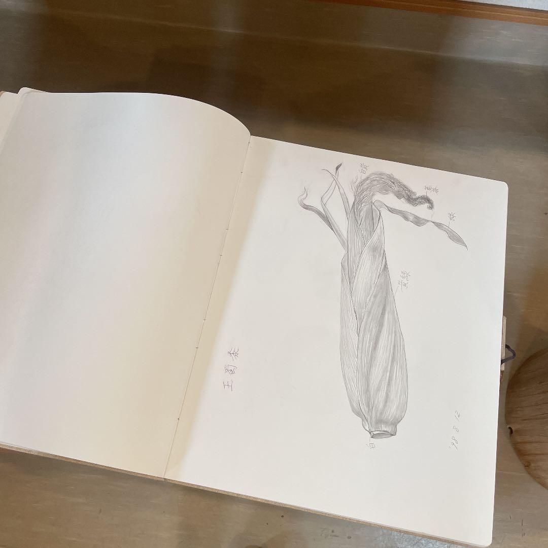 蔵石　河村大蔵　スケッチブック