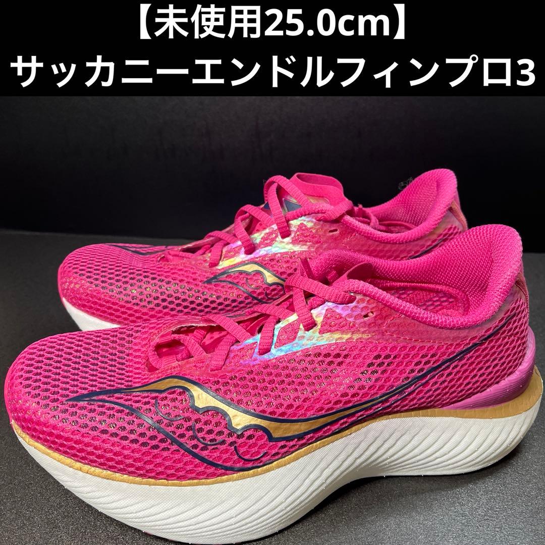 週末限定価格‼️【未使用25.0cm】サッカニーエンドルフィンプロ3
