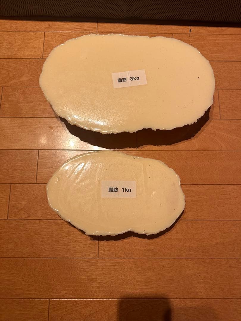 脂肪模型 　1kg 3kgの２つセット