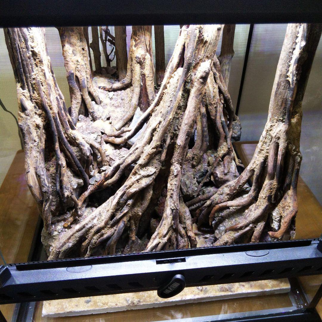 【受注生産】爬虫類飼育ケージ