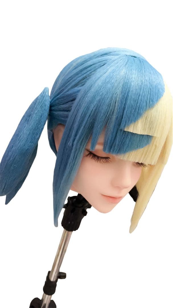 ポケモンZA カナリィ　ウィッグ