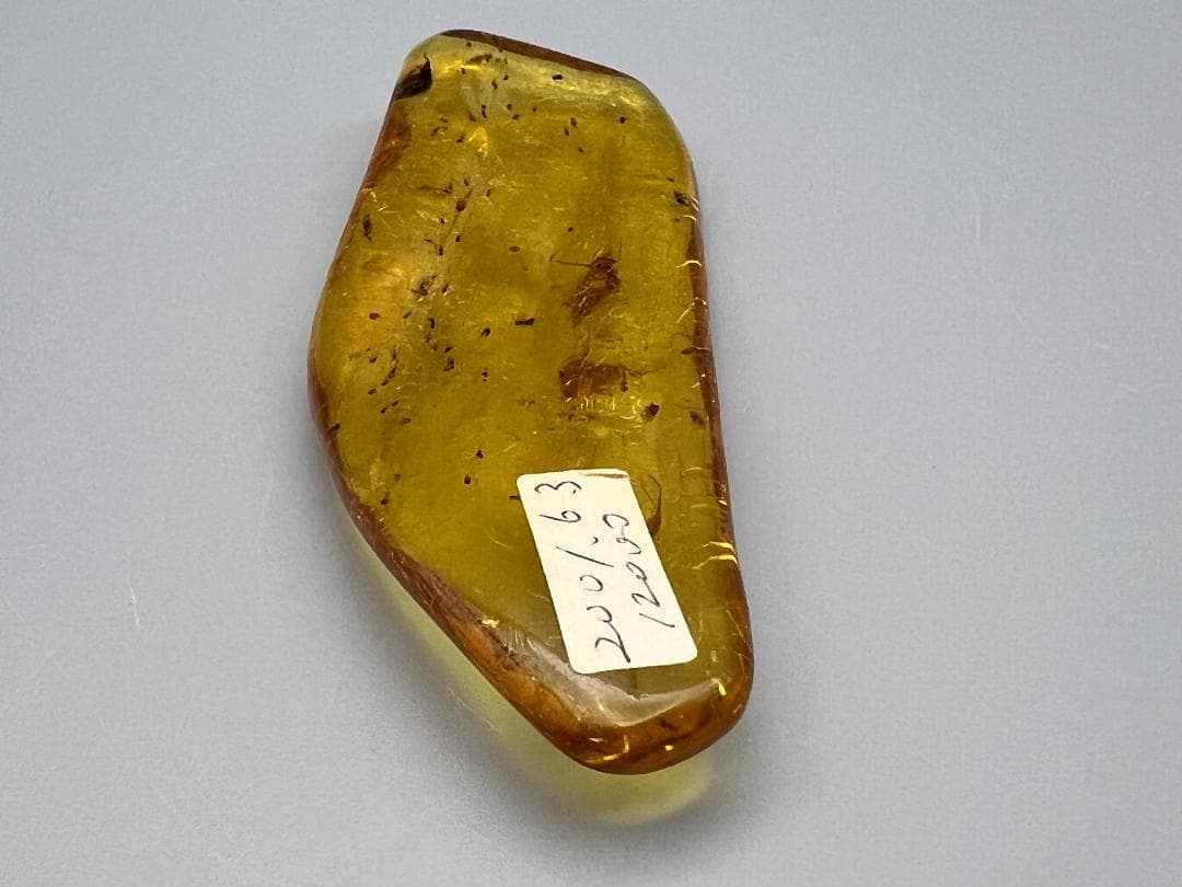 虫入り琥珀　蜘蛛　蚊　大量小さい虫内包　バルティックアンバー　バルト海沿岸地域産