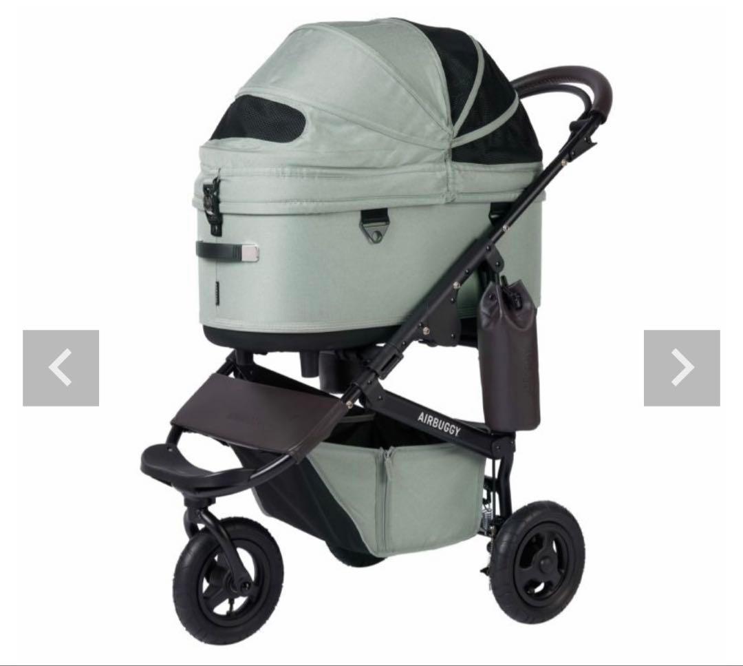 Air Buggy エアバギー　ドーム3 ラージ