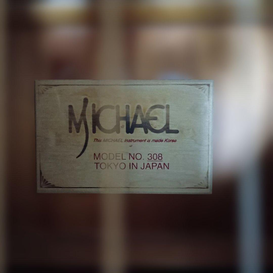 Michael アコースティックギター 308