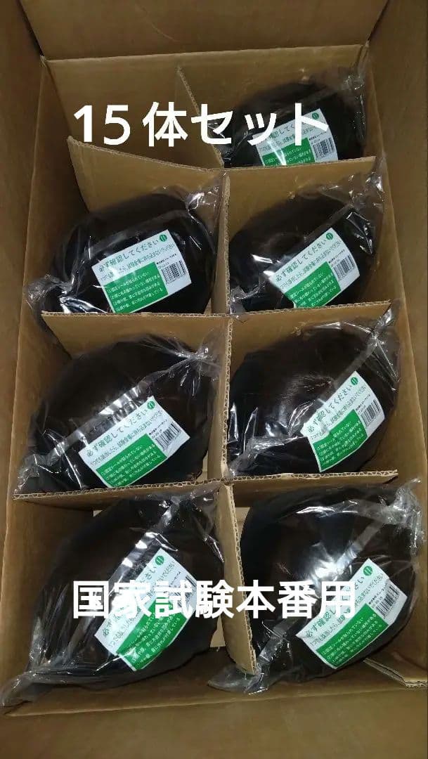 B*G様 美容師国家試験用　カットウィッグ　1５体セット