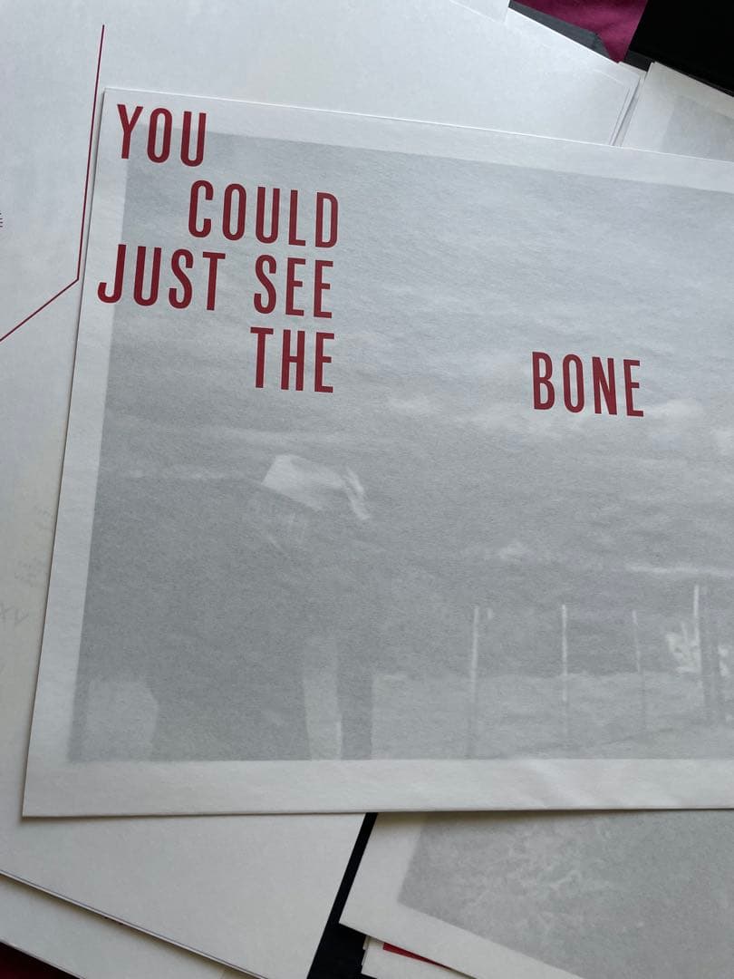 David Sylvian The Perfume of Wealth　サイン付