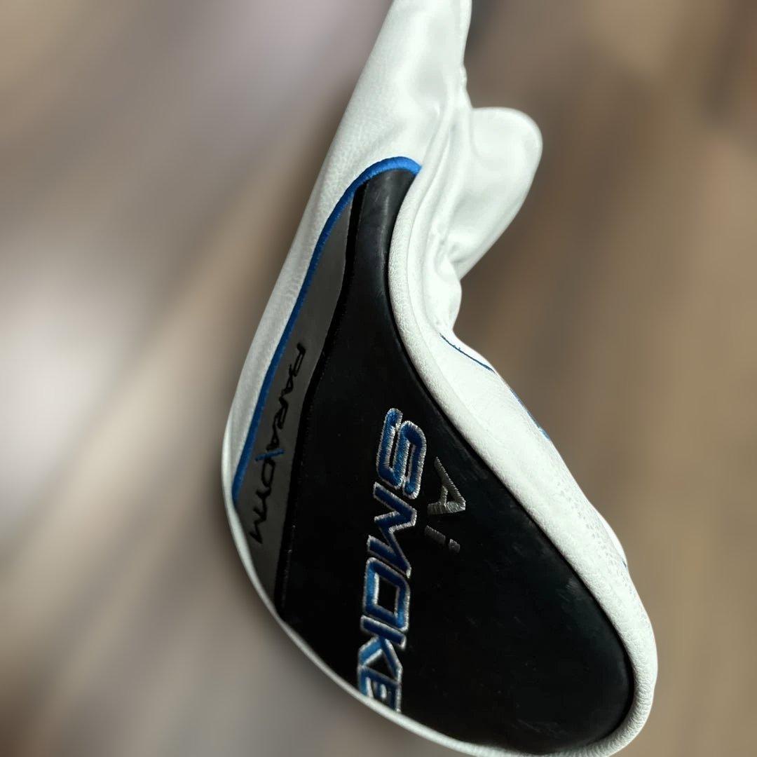 AiSMOKE MAX D 5W TENSEI 50 フレックスS