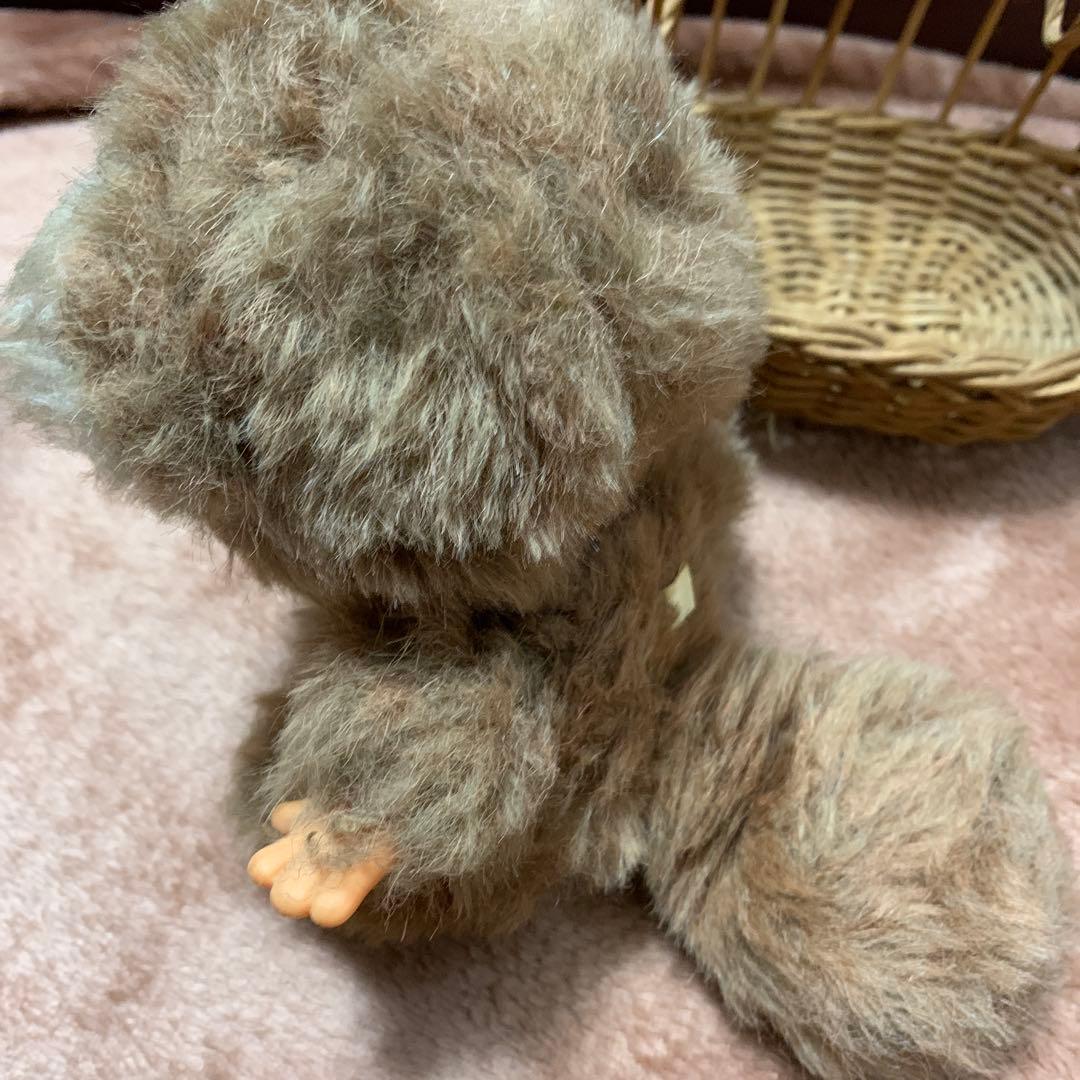 モンチッチ　タヌタヌ　ぬいぐるみ