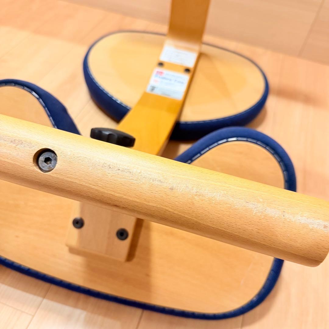 バランスイージー【Rybo balans EASY】サカモトハウス カバー有