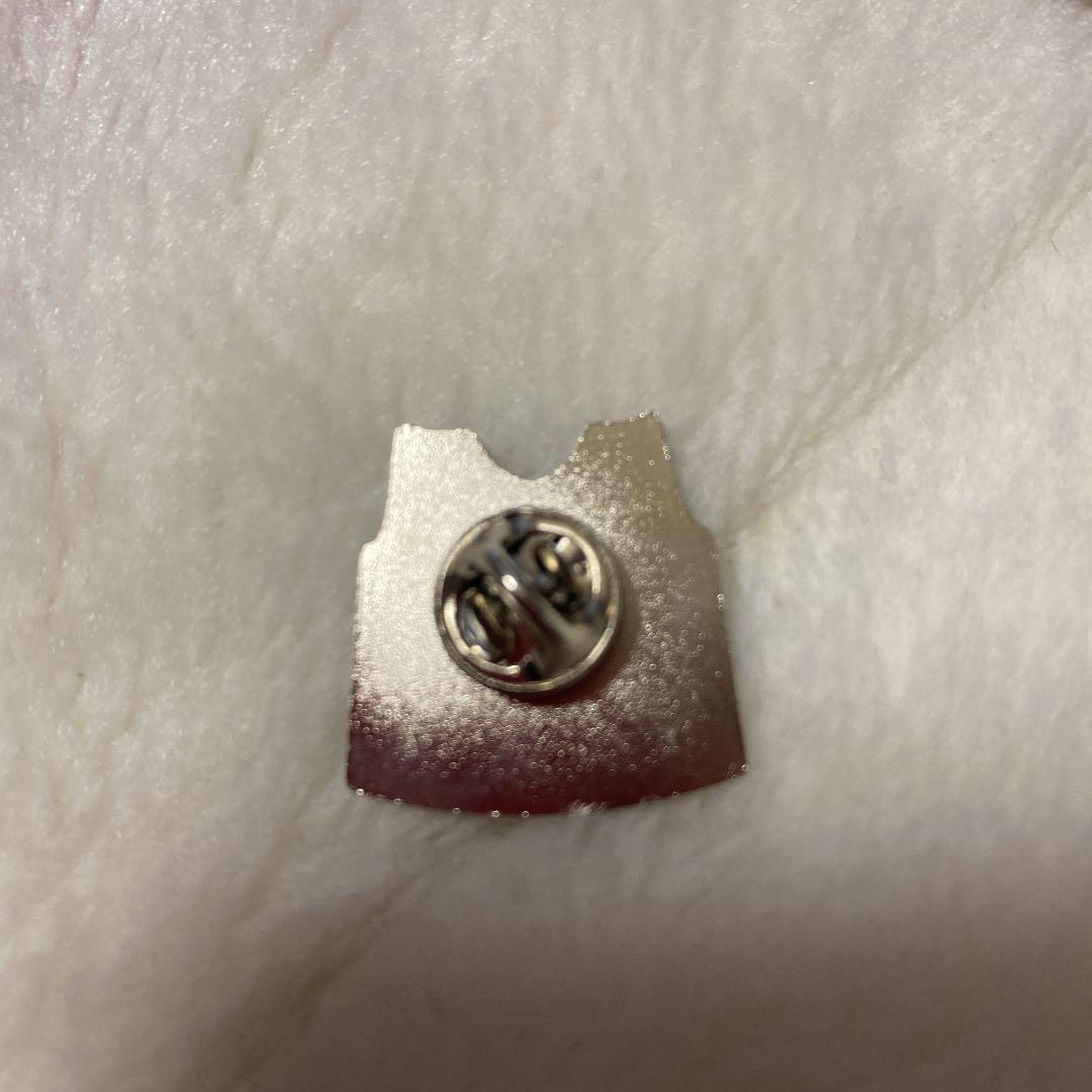 NBA ピンバッチ　希少品