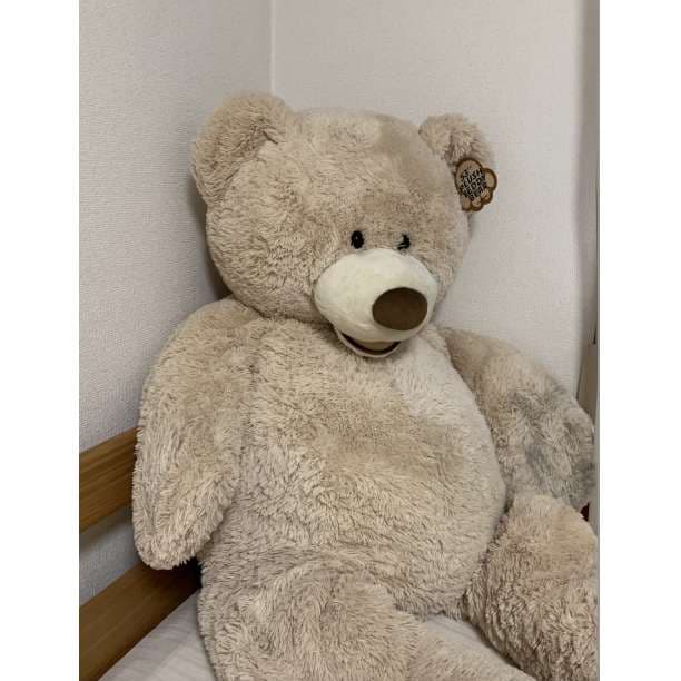 コストコ Costco　くま  熊 クマ くまさん ぬいぐるみ bear