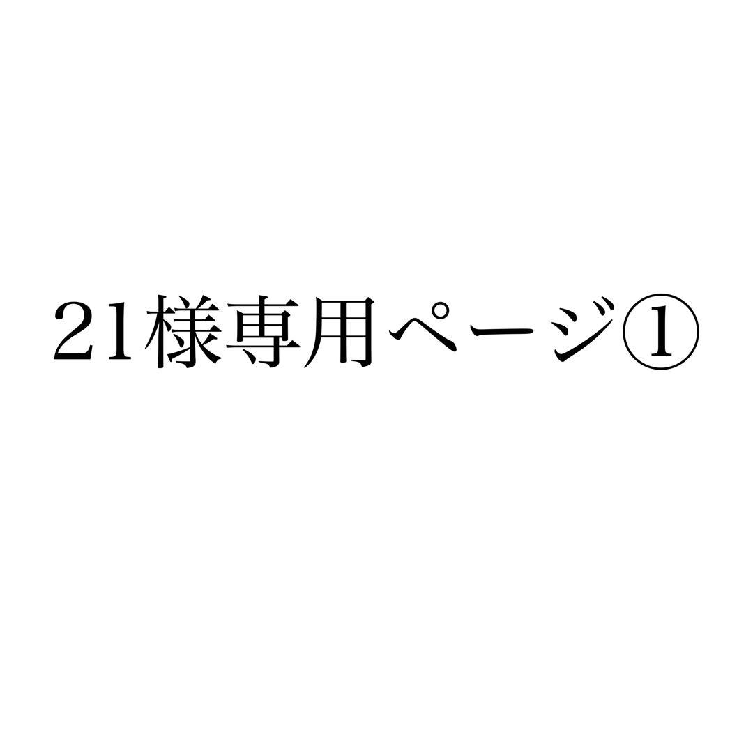 21ページ①